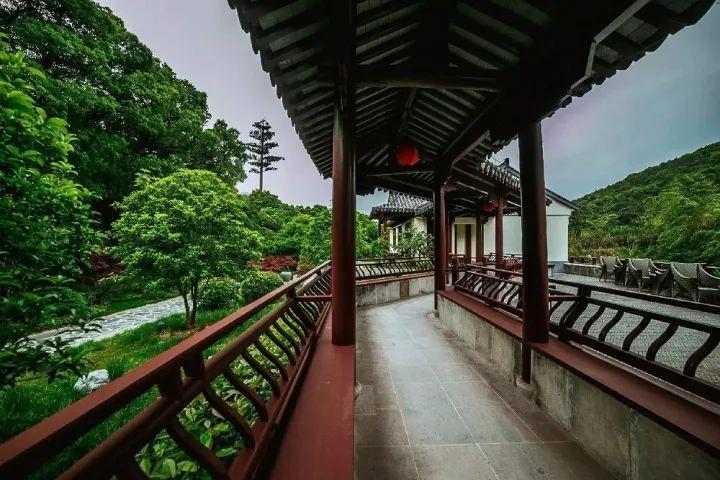 告别阴霾,拥抱阳光:淋巴瘤用袁希福中医重获新生